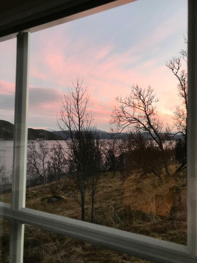 Kvaloya Lodge Futrikelv 외부 사진