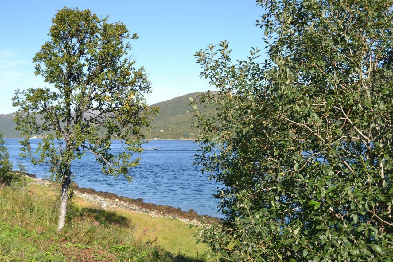 Kvaloya Lodge Futrikelv 외부 사진